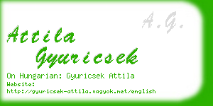 attila gyuricsek business card